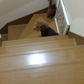 懐かしい〜の画像