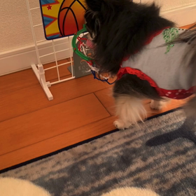 べる宿題の画像