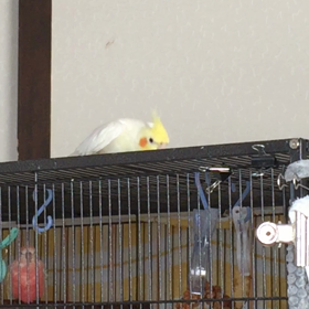 本日の土木作業の画像