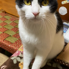 目覚めたベッドで柔らかな毛布にくるまりながら・・の画像