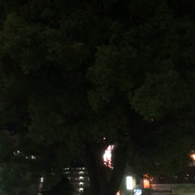 稲雀の大群の画像