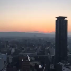 私の元旦はの画像