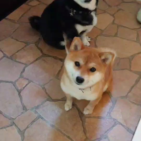 溜め込まないで生きるの画像