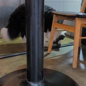 アートとマティック、リダもちらっとの画像