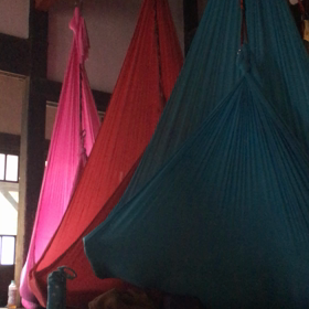 かなりリラックスしておられるご様子の画像