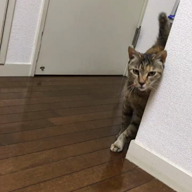 マリーちゃんの一日の画像