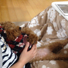 ラムちゃんの画像