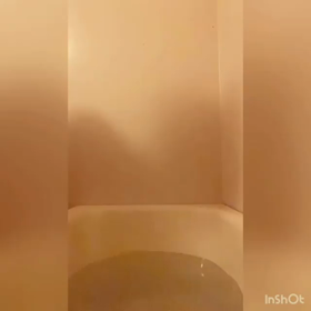 これぞJELADO魂‼️‼️の画像