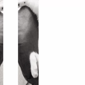 最終回…馬鹿にさせるもんか❗️の画像