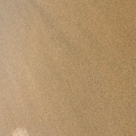 「私の耳は貝の殻 海の響きを懐かしむ」の画像