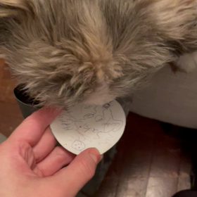 だから殺せなかった　全話の画像