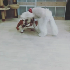 雨だしね～お客様もいないしね～の画像