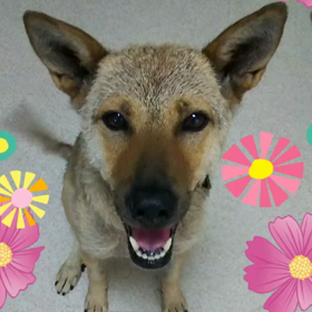 言葉と自信の画像