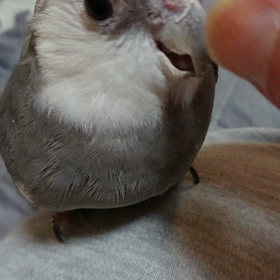 全く・・・の画像