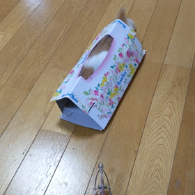 隠れてるつもり？の画像