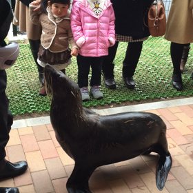 品川アクアパークに行ったよ。の画像