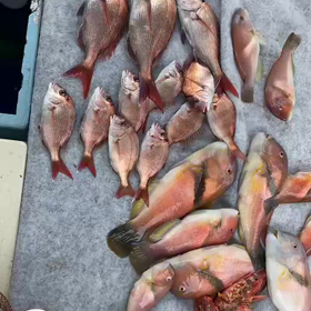 令和３年７月25日(日)　☀晴の画像