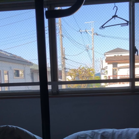 心房細動の競馬馬…どのマンションって？どう言う事ですか？朝デール。の画像