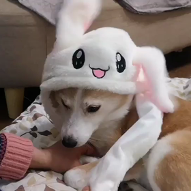 お土産の帽子の画像