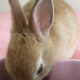 サラなる成長。の画像