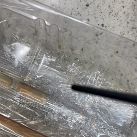 アニサキス　閲覧注意の画像