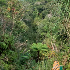 23期目　沖縄社員旅行3日目　⑤の画像