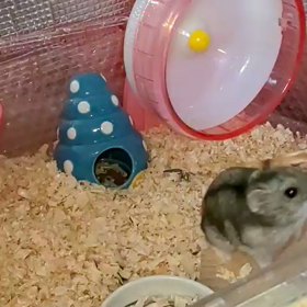 尻餅を着くの画像