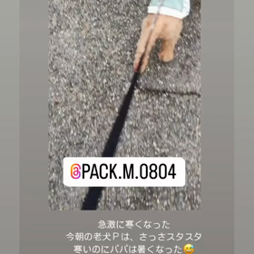 寒い！　　パパと散歩　　手抜き投稿の画像