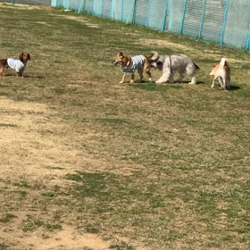 デビューの画像