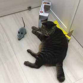 ねずみのおもちゃ。の画像