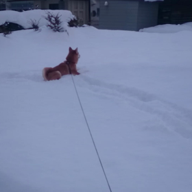 明日の天気の画像
