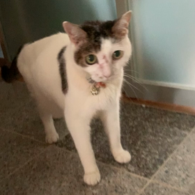 みつお動画　今朝のご様子の画像