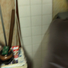 ある日のひとコマの画像