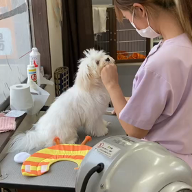 消毒ついでにの画像