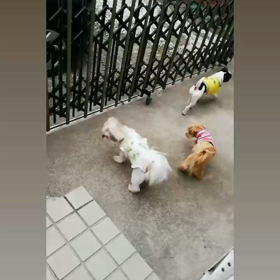 ★Let's enjoy today★の画像