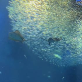 楽しかったァ　（＾∇＾）　③の画像