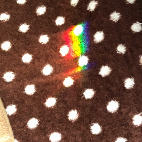 小さな虹の画像