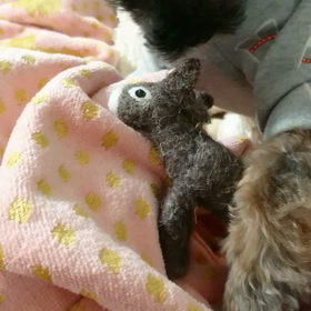 ロバさんの画像