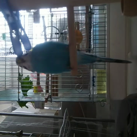 気持ちいい～の画像