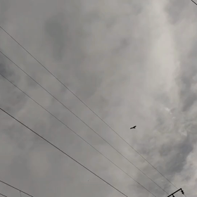 文字通り！の画像