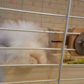 コロナに負けない！の画像