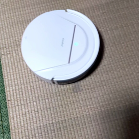 新しいペット✨の画像