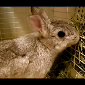 健(たける)くんとまったり動画3本の画像