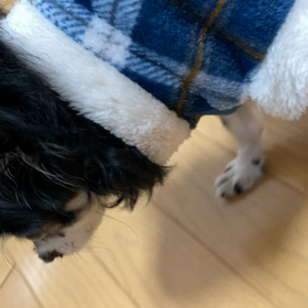 昨日で…半年の画像