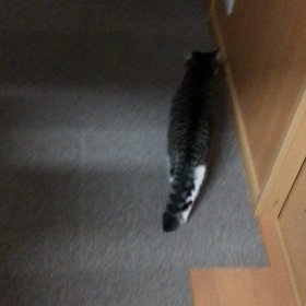 マジ噛みの画像