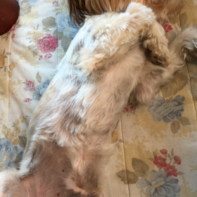 つぶ元気に！の画像