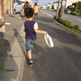 毎日こんな感じの画像