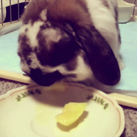 一心不乱の画像