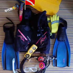 箪笥の肥やし　1の画像