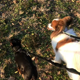 ♪お散歩動画♪代々木公園♪の画像